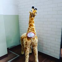 画像1488