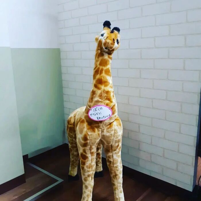 画像1488